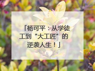 杨可平：从学徒工到“大工匠”的逆袭人生！